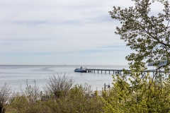 Blick auf die Seebrücke